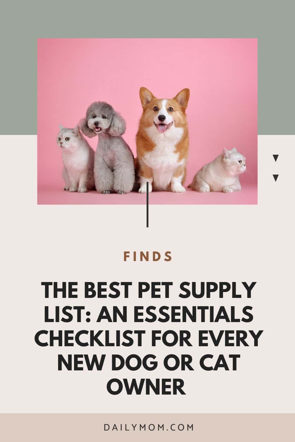 The Best Pet Supply List: An Essentials Checklist For Every New Dog Or Cat Owner  19 Daily Mom, Magazine For Families