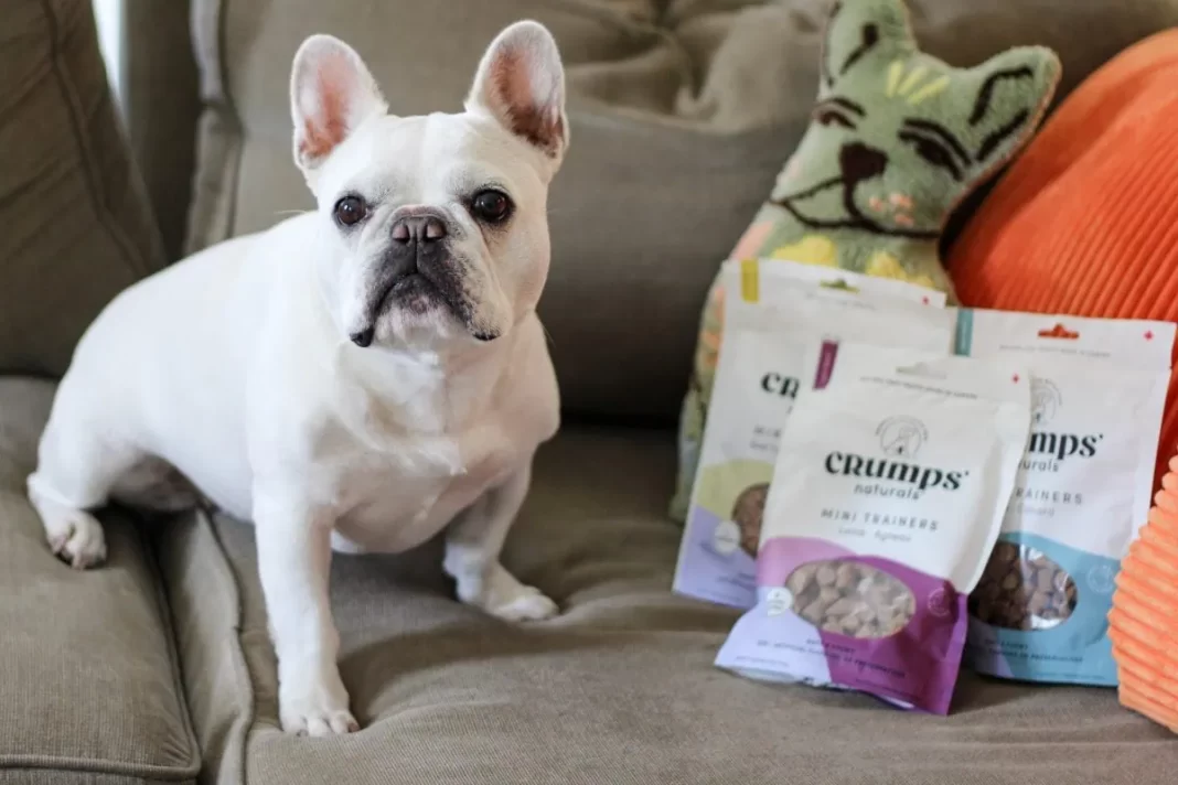 daily mom parent portal pet supply list