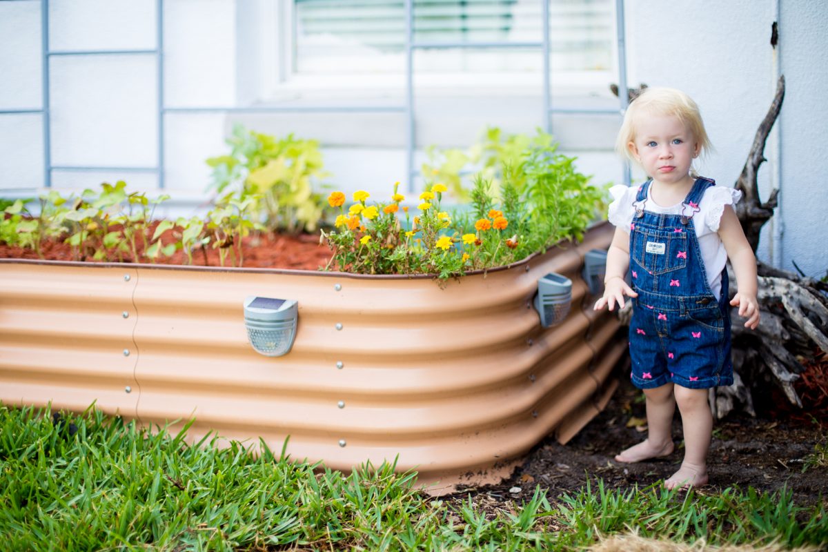 Daily Mom Parents Portal Best Raised Garden Bed