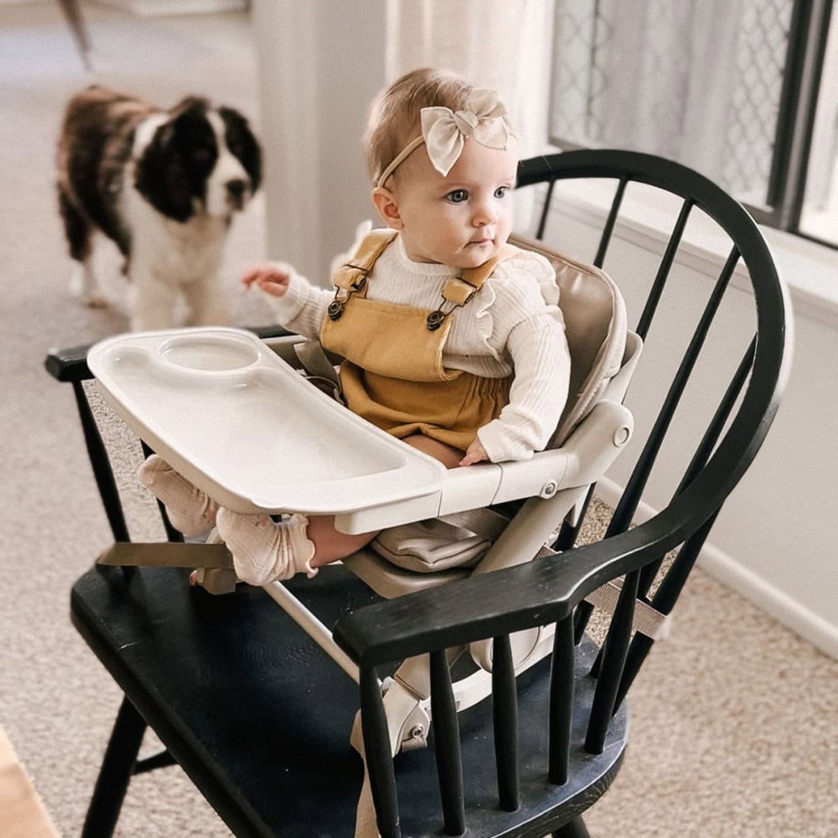 Daily-Mom-Parent-Portal-Unilove