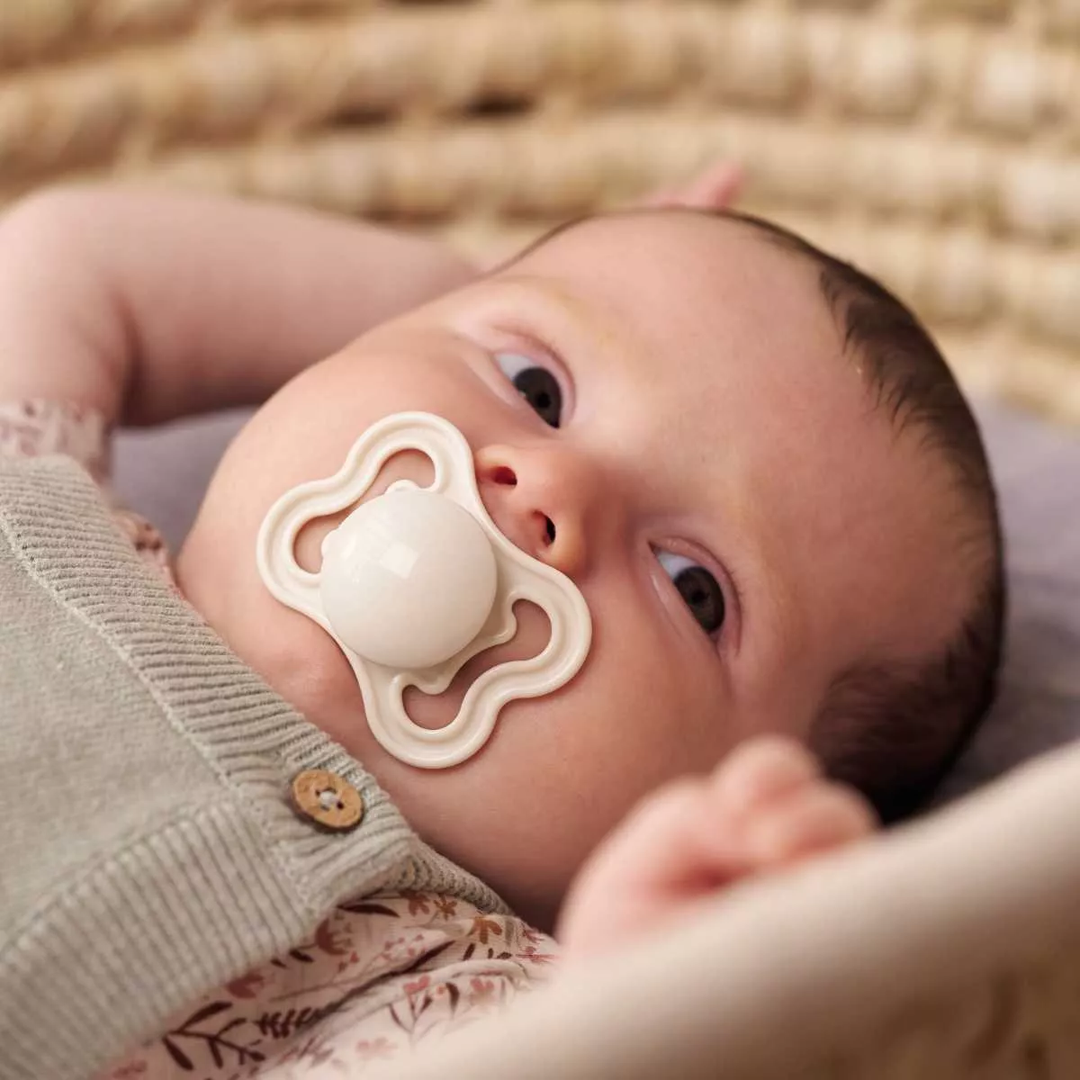 Daily-Mom-Parent-Portal-Mam-Baby