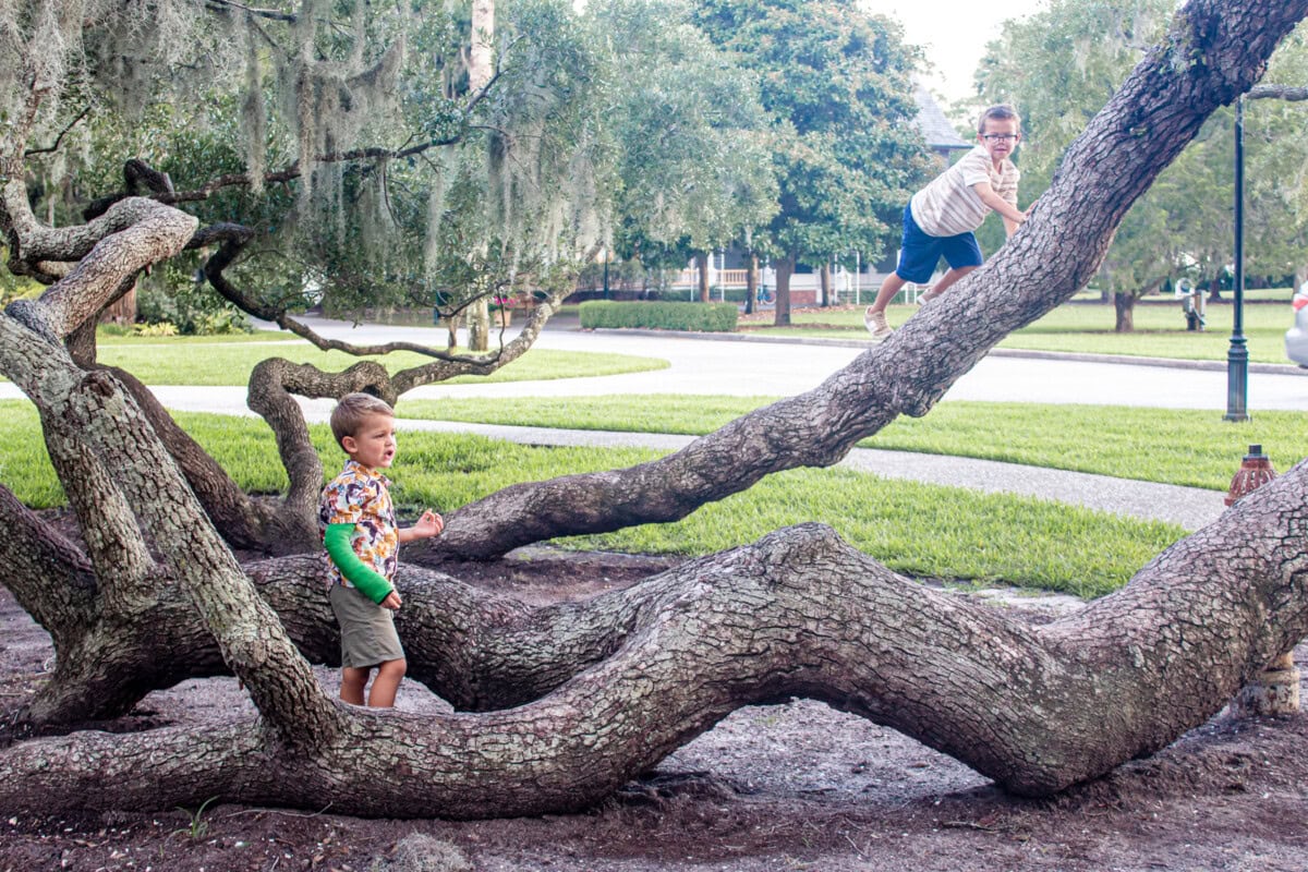 Daily Mom Parent Portal - Jekyll Island Resort For Families