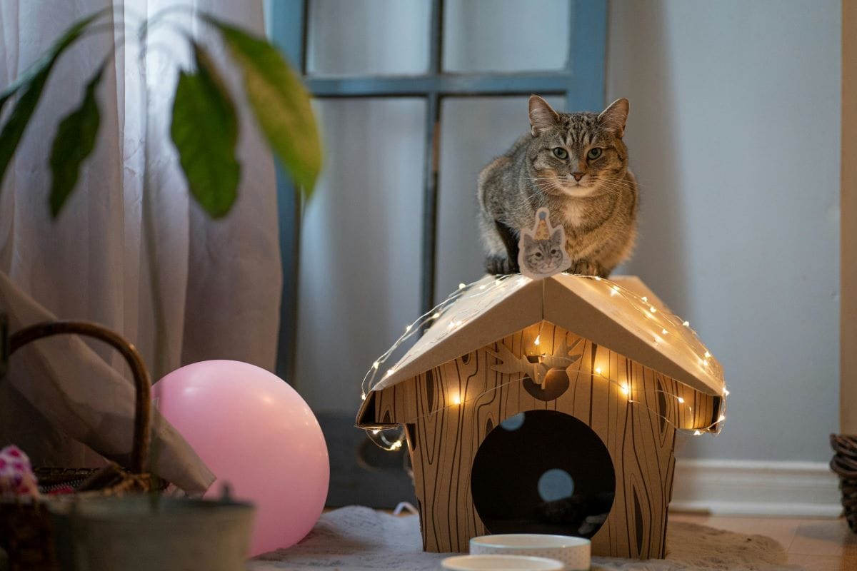 How to Make a Cardboard House: 10+ DIY Cardboard Playhouse & Toy Creations for Imaginative Play 2 Daily Mom, Magazine for Families How To Make A Cardboard House: 10+ Diy Cardboard Playhouse &Amp; Toy Creations For Imaginative Play 2 Daily Mom, Magazine For Families