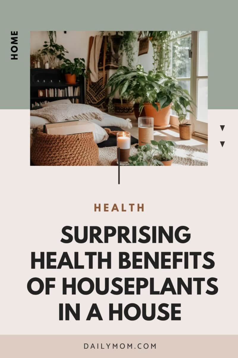 Unlock The Health Benefits Of Indoor Plants: Surprising Health Benefits Of Houseplants In A House  4 Daily Mom, Magazine For Families