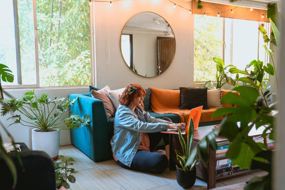 Daily-Mom-Parent-Portal-Benefits Of Houseplants 