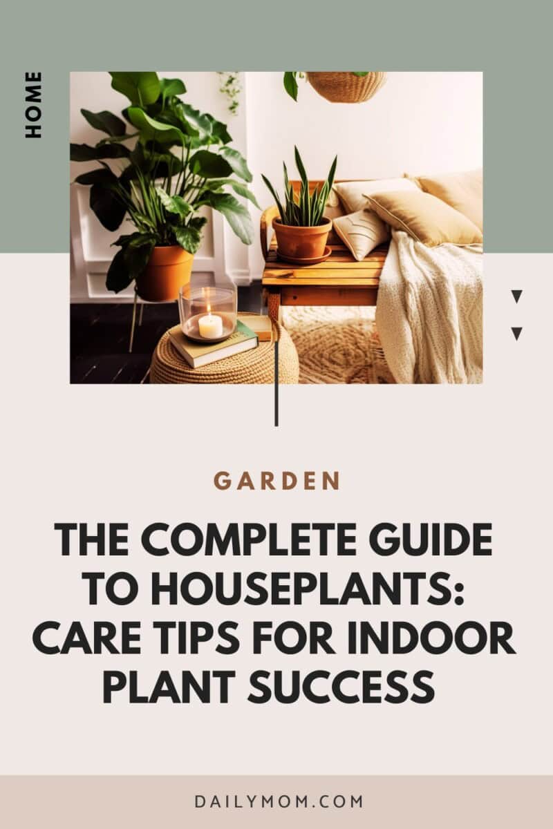 The Complete Guide to Houseplants: Care Tips for Indoor Plant Success and How to Make House Plants Thrive in Your Indoor Space 8 Daily Mom, Magazine for Families The Complete Guide To Houseplants: Care Tips For Indoor Plant Success And How To Make House Plants Thrive In Your Indoor Space 1 Daily Mom, Magazine For Families