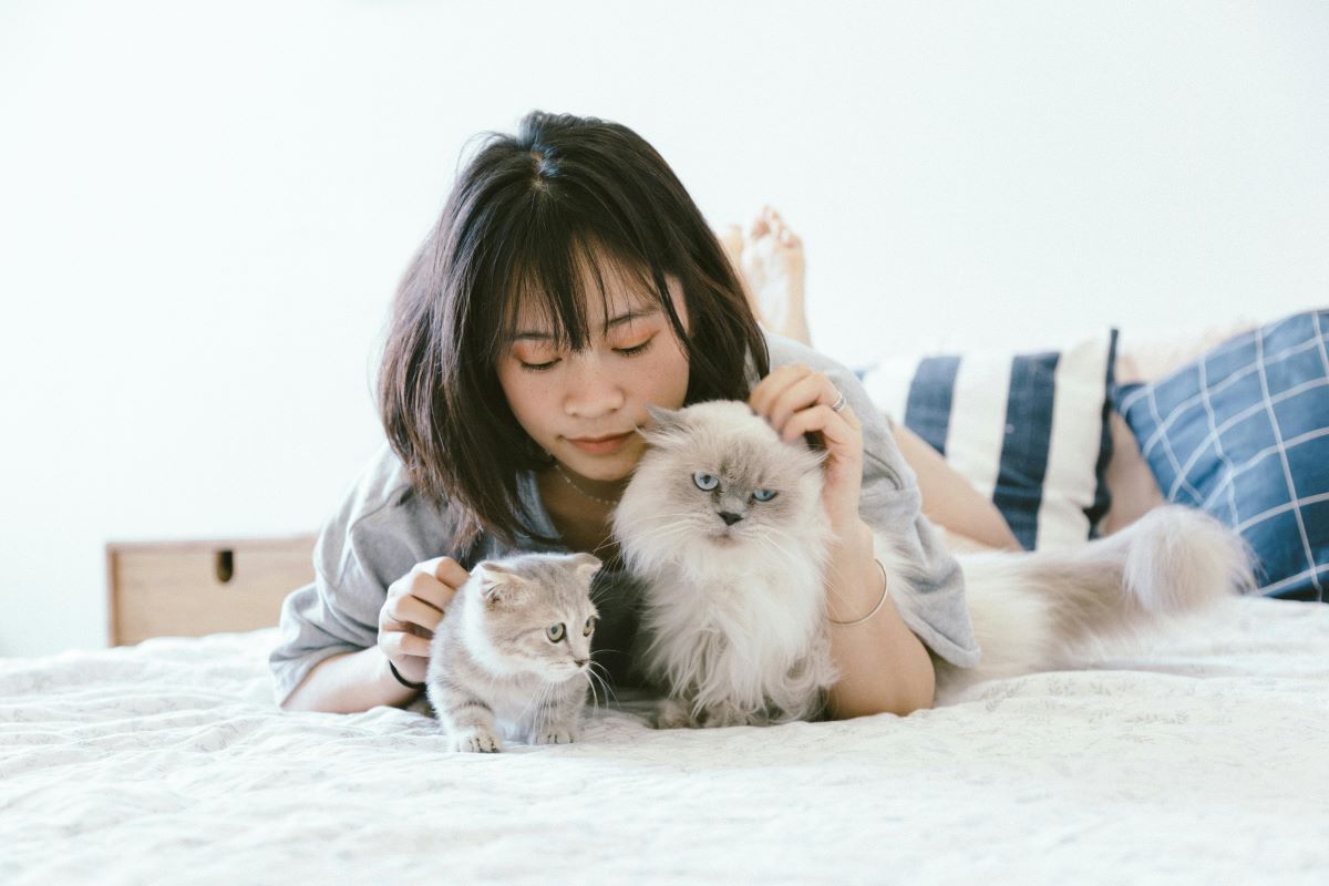 10 Homemade Pet Supplies & Craft DIY Dog / Pet Products to Sell Online to Make Extra Income 7 Daily Mom, Magazine for Families 10 Homemade Pet Supplies &Amp; Craft Diy Dog / Pet Products To Sell Online To Make Extra Income 7 Daily Mom, Magazine For Families