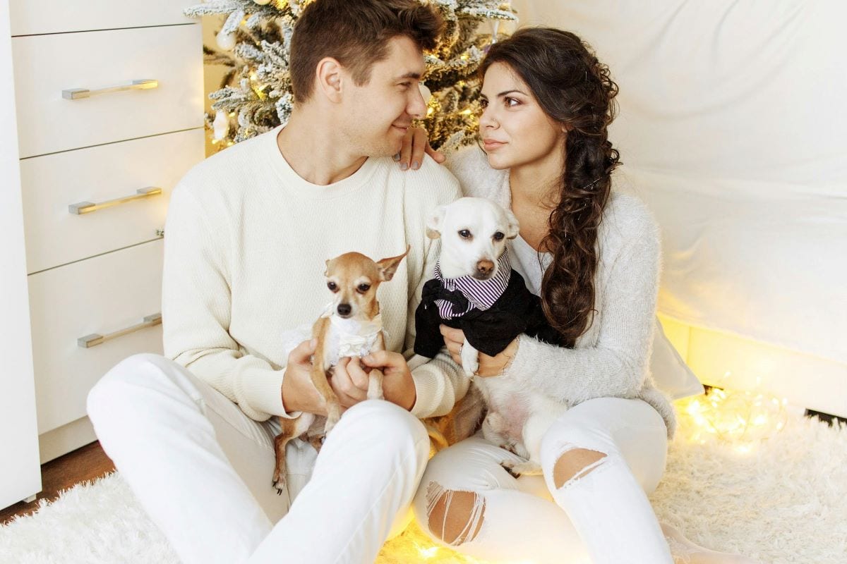 10 Homemade Pet Supplies & Craft DIY Dog / Pet Products to Sell Online to Make Extra Income 5 Daily Mom, Magazine for Families 10 Homemade Pet Supplies &Amp; Craft Diy Dog / Pet Products To Sell Online To Make Extra Income 5 Daily Mom, Magazine For Families