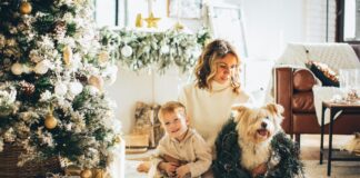 daily mom parent portal presents for pet lovers