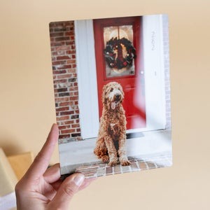 50+ Last Minute Christmas Gift Ideas Just In Time For A Great Holiday {2024} 40 Daily Mom, Magazine For Families