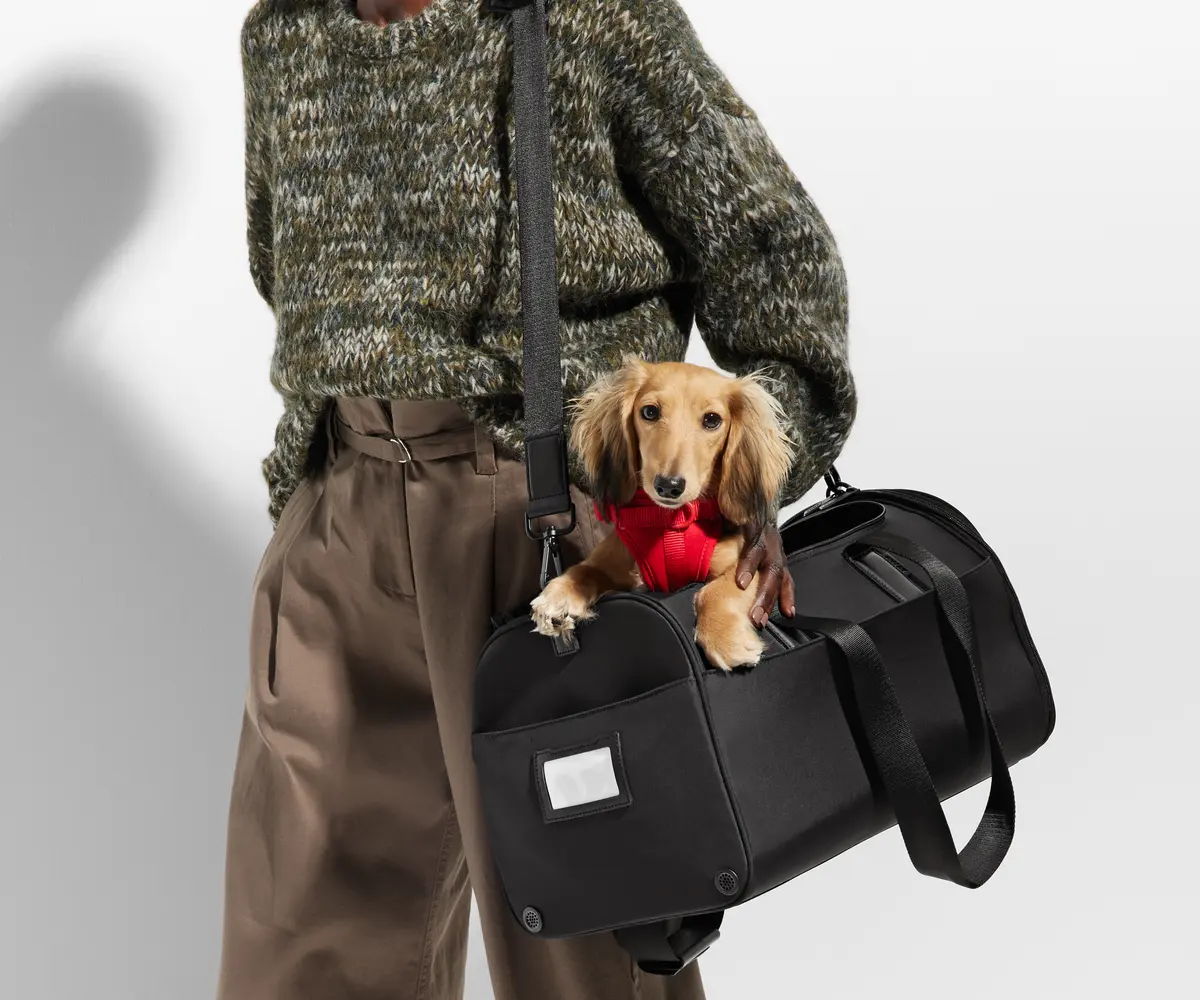The 2024 Ultimate Luxury Pet Accessory Gift Guide: Best Gifts For Dogs And Dog Lovers Who Pamper Their Furry Friends 14 Daily Mom, Magazine For Families