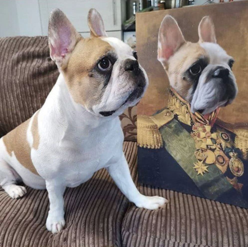 The 2024 Ultimate Luxury Pet Accessory Gift Guide: Best Gifts For Dogs And Dog Lovers Who Pamper Their Furry Friends 17 Daily Mom, Magazine For Families