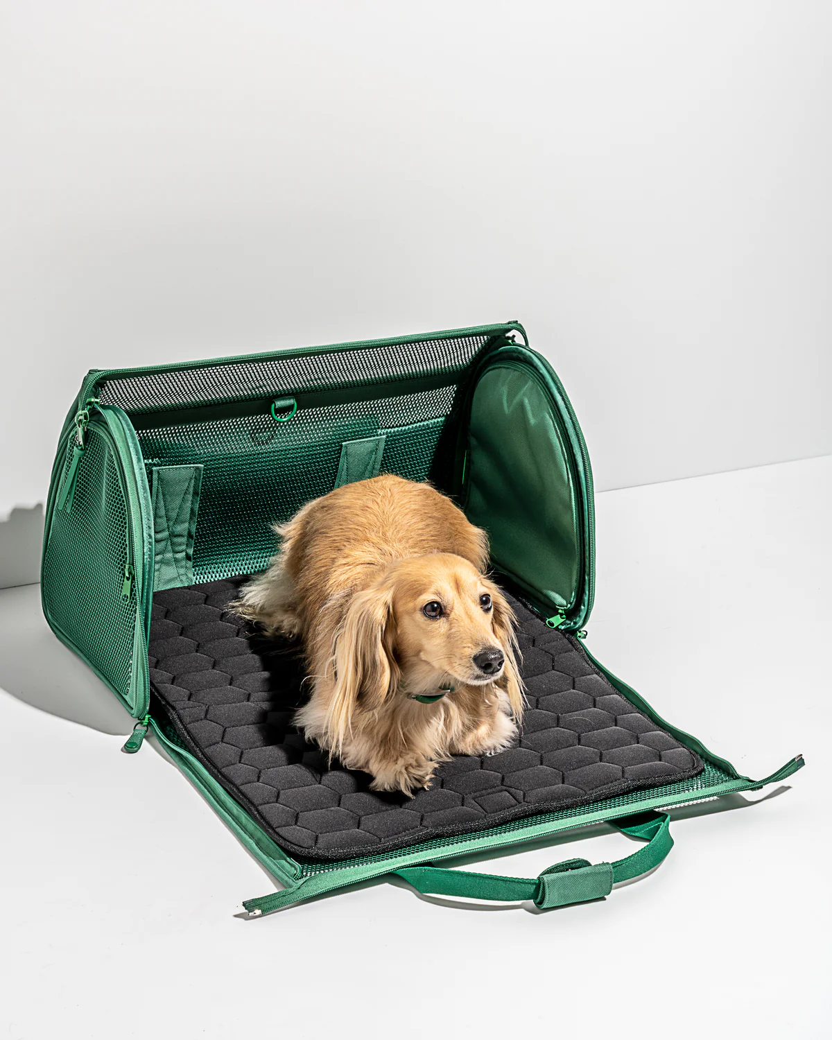 The 2024 Ultimate Luxury Pet Accessory Gift Guide: Best Gifts For Dogs And Dog Lovers Who Pamper Their Furry Friends 13 Daily Mom, Magazine For Families