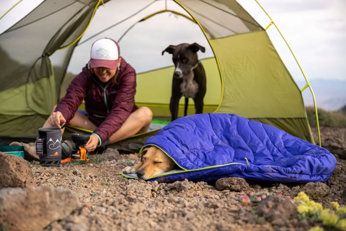 The 2024 Ultimate Luxury Pet Accessory Gift Guide: Best Gifts For Dogs And Dog Lovers Who Pamper Their Furry Friends 15 Daily Mom, Magazine For Families