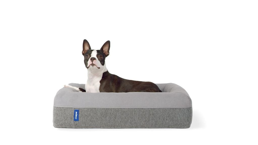The 2024 Ultimate Luxury Pet Accessory Gift Guide: Best Gifts For Dogs And Dog Lovers Who Pamper Their Furry Friends 6 Daily Mom, Magazine For Families