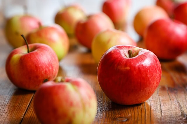 Most Nutrition Dense Food
