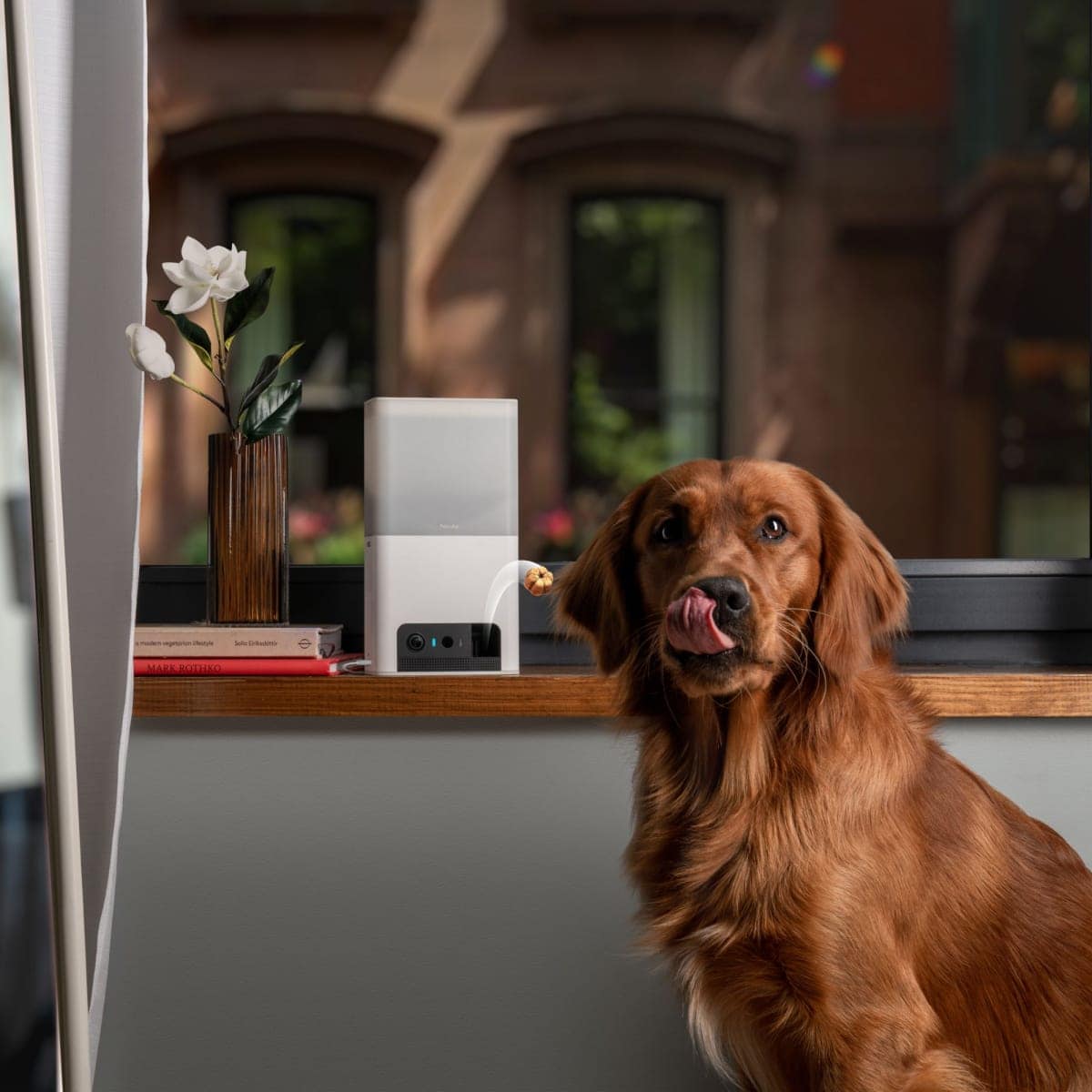 The 2024 Ultimate Luxury Pet Accessory Gift Guide: Best Gifts For Dogs And Dog Lovers Who Pamper Their Furry Friends 11 Daily Mom, Magazine For Families