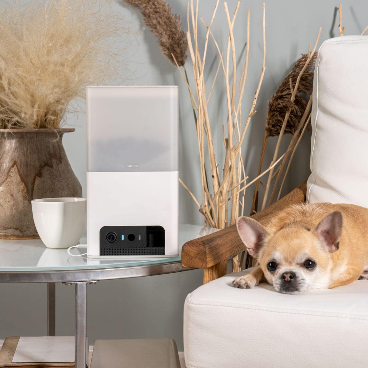 The 2024 Ultimate Luxury Pet Accessory Gift Guide: Best Gifts For Dogs And Dog Lovers Who Pamper Their Furry Friends 12 Daily Mom, Magazine For Families