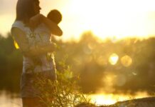 what is midwifery