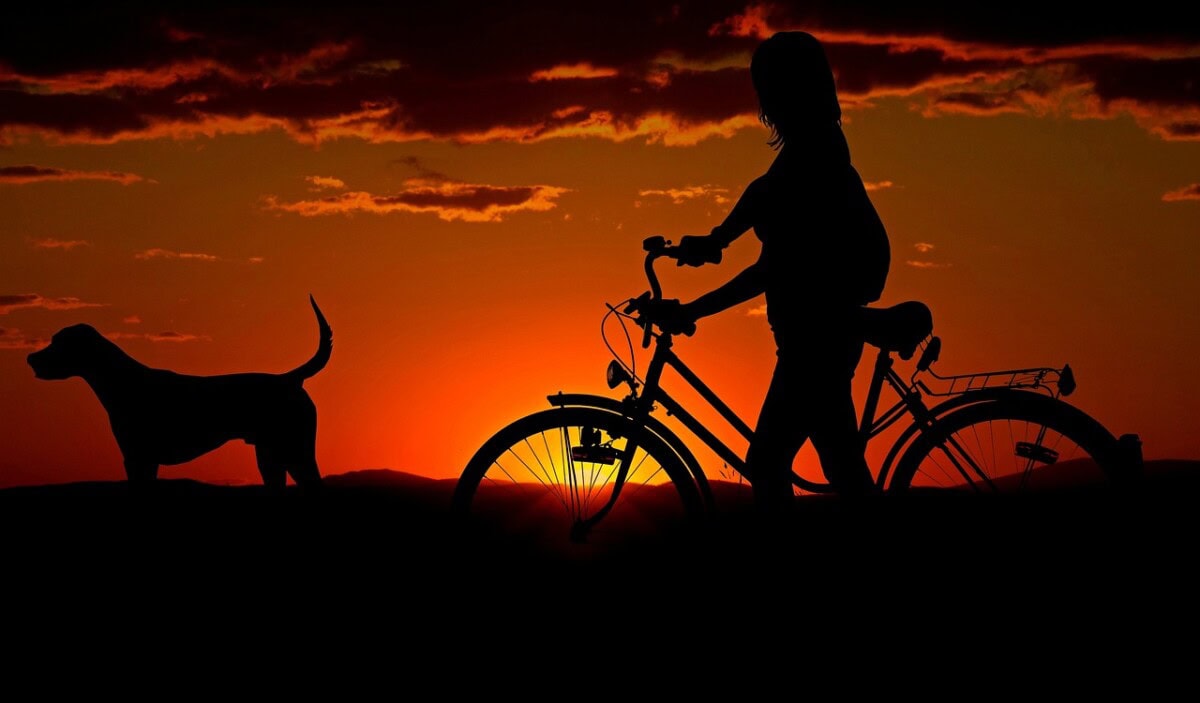 Vacationing with Pets: The Best Dog-Friendly Vacation Destinations 5 Daily Mom, Magazine for Families Vacationing With Pets: The Best Dog-Friendly Vacation Destinations 3 Daily Mom, Magazine For Families