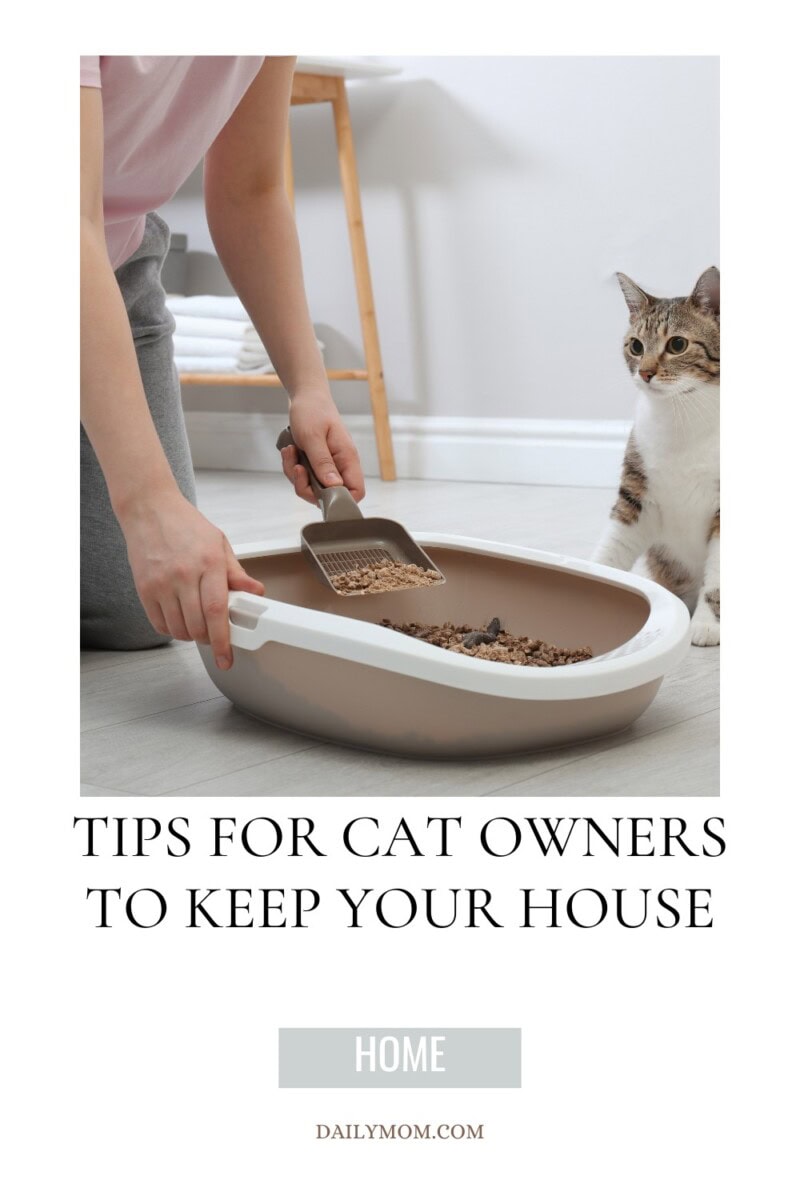 How to Keep a Clean House with Cats: Tips for Cat Owners 5 Daily Mom, Magazine for Families How To Keep A Clean House With Cats: Tips For Cat Owners 1 Daily Mom, Magazine For Families