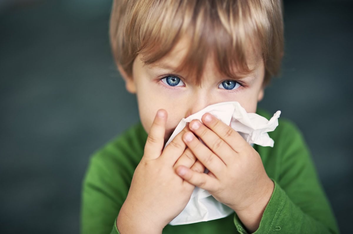 The Rarest and Most Uncommon Food Allergies in Kids: Understanding Rare Allergies, Allergic Reactions, and Symptoms 5 Daily Mom, Magazine for Families Daily Mom Parent Portal Rare Allergies
