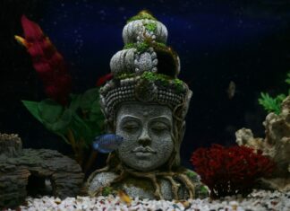 10 Creative Ideas for Decorating Your Fish Tank: Transform Your Aquarium into a Stunning Underwater World