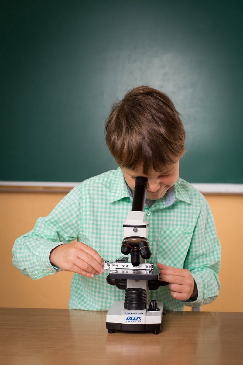 What Is Personalized Learning: Individualize Learning And Education For Your Child With A Competency-Based Learning Strategy 5 Daily Mom, Magazine For Families