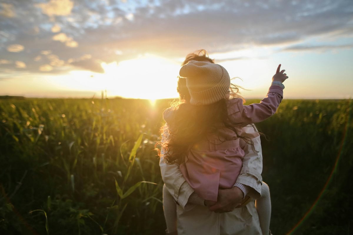 Daily Mom Parent Portal No Phone Zones