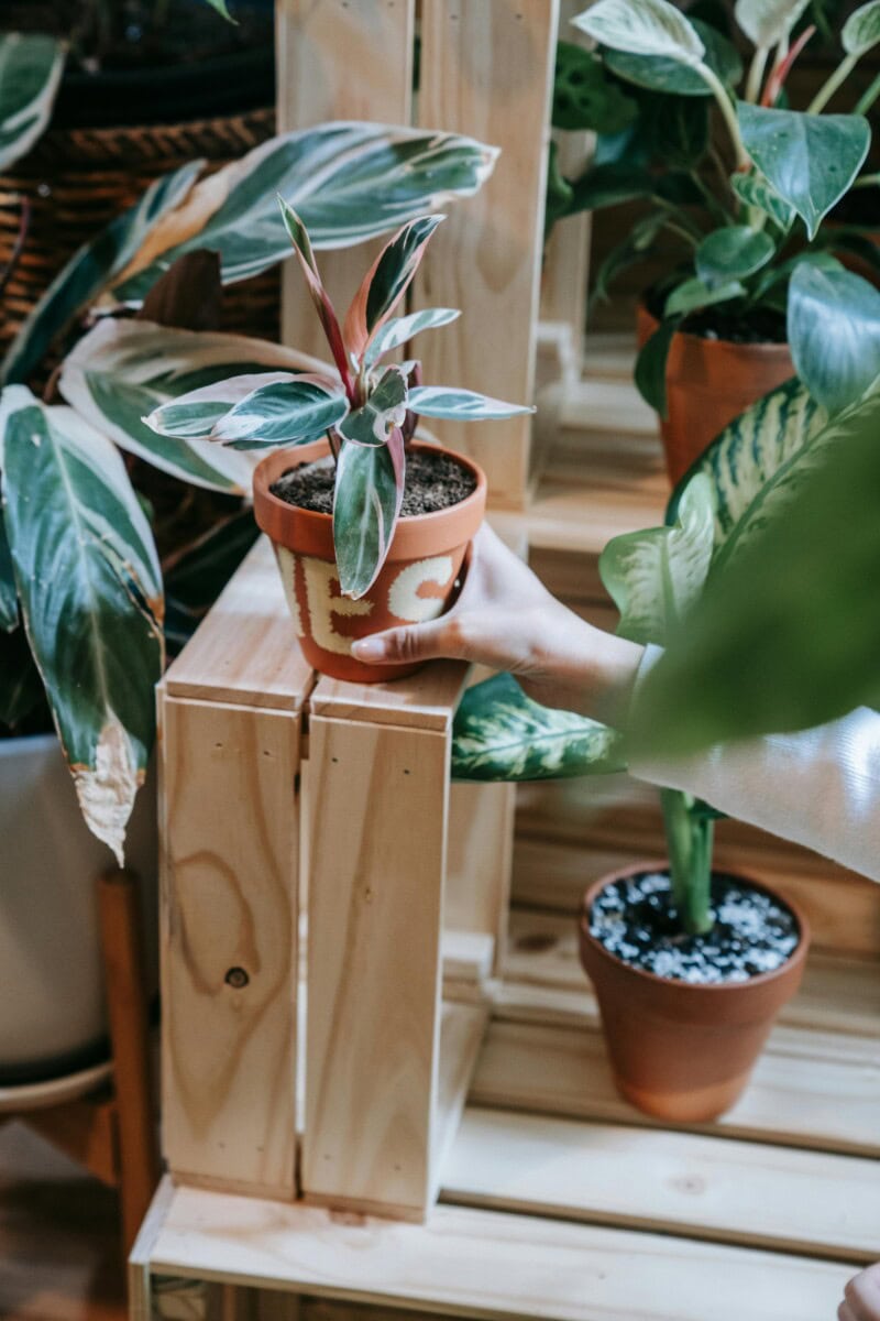 Things To Make From Wood: 25 Diy Small, Simple Scrap Wood Projects For Beginners Or Experts To Make And Sell 3 Daily Mom, Magazine For Families