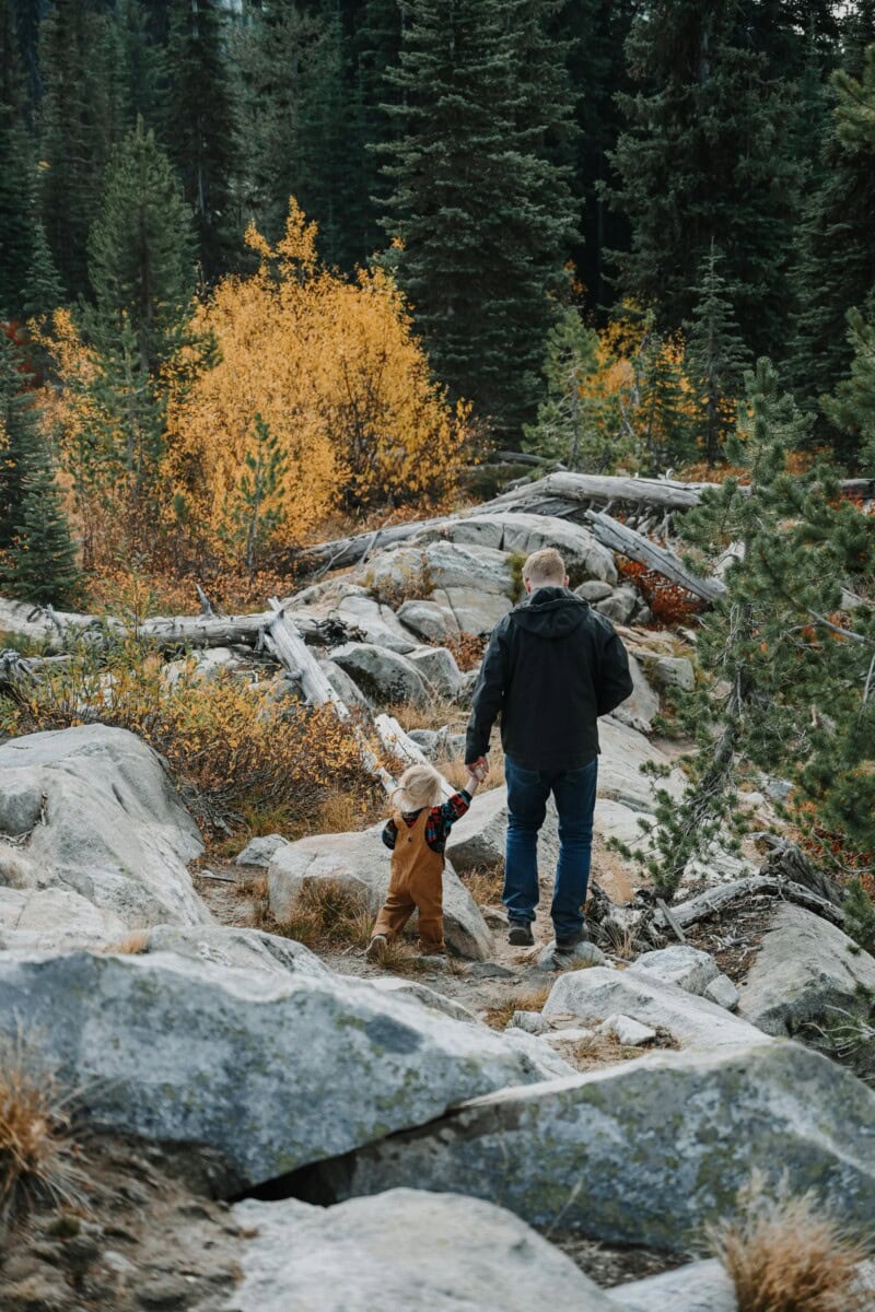 Hiking With The Family: The Perfect Family Trip Activity Guide - Fun Tips For Kids Hiking In The Great Outdoors 9 Daily Mom, Magazine For Families