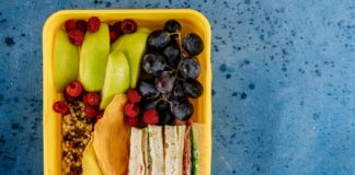 daily mom parent portal lunch ideas for school