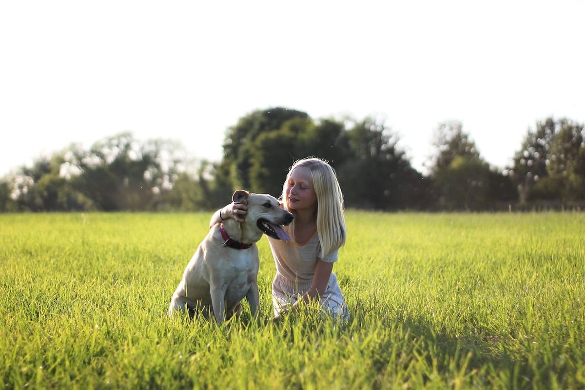 Best Family Dog Breeds Every Family Should Consider Bringing Home as the Perfect Pet 11 Daily Mom, Magazine for Families Best Family Dog Breeds Every Family Should Consider Bringing Home As The Perfect Pet 11 Daily Mom, Magazine For Families