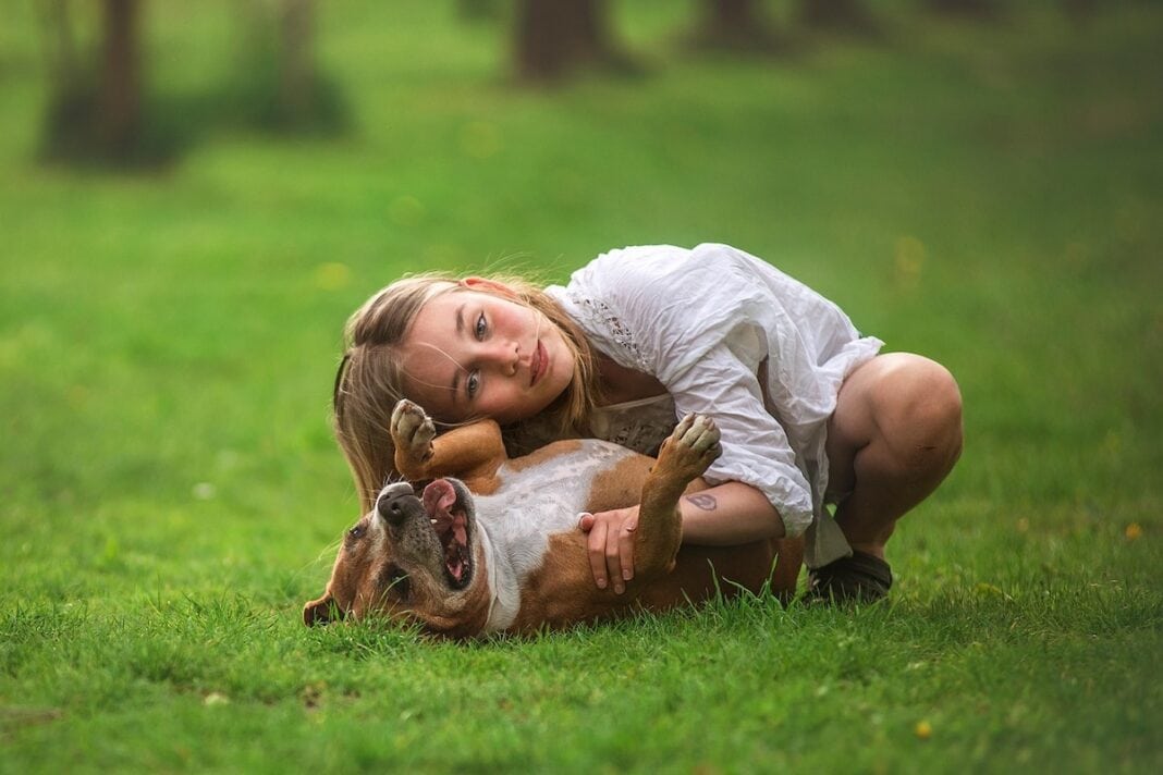 dog-6306028_1280