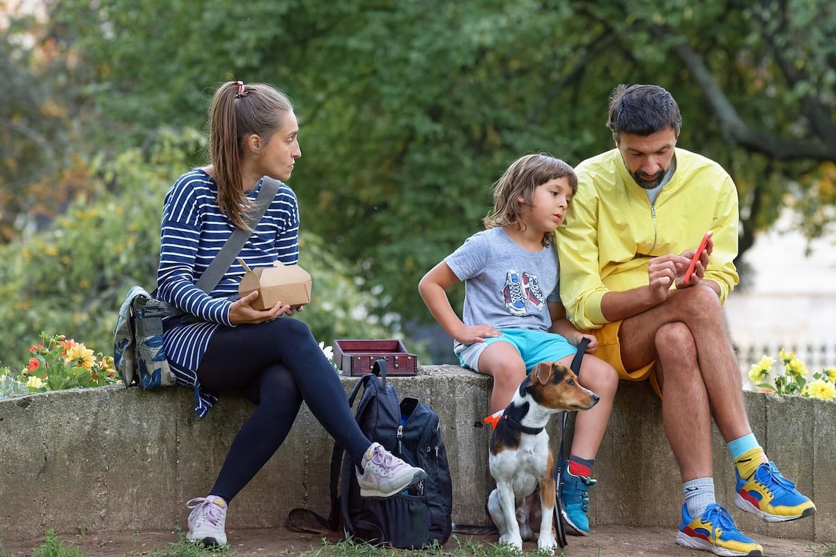 Best Family Dog Breeds Every Family Should Consider Bringing Home as the Perfect Pet 16 Daily Mom, Magazine for Families Best Family Dog Breeds Every Family Should Consider Bringing Home As The Perfect Pet 16 Daily Mom, Magazine For Families