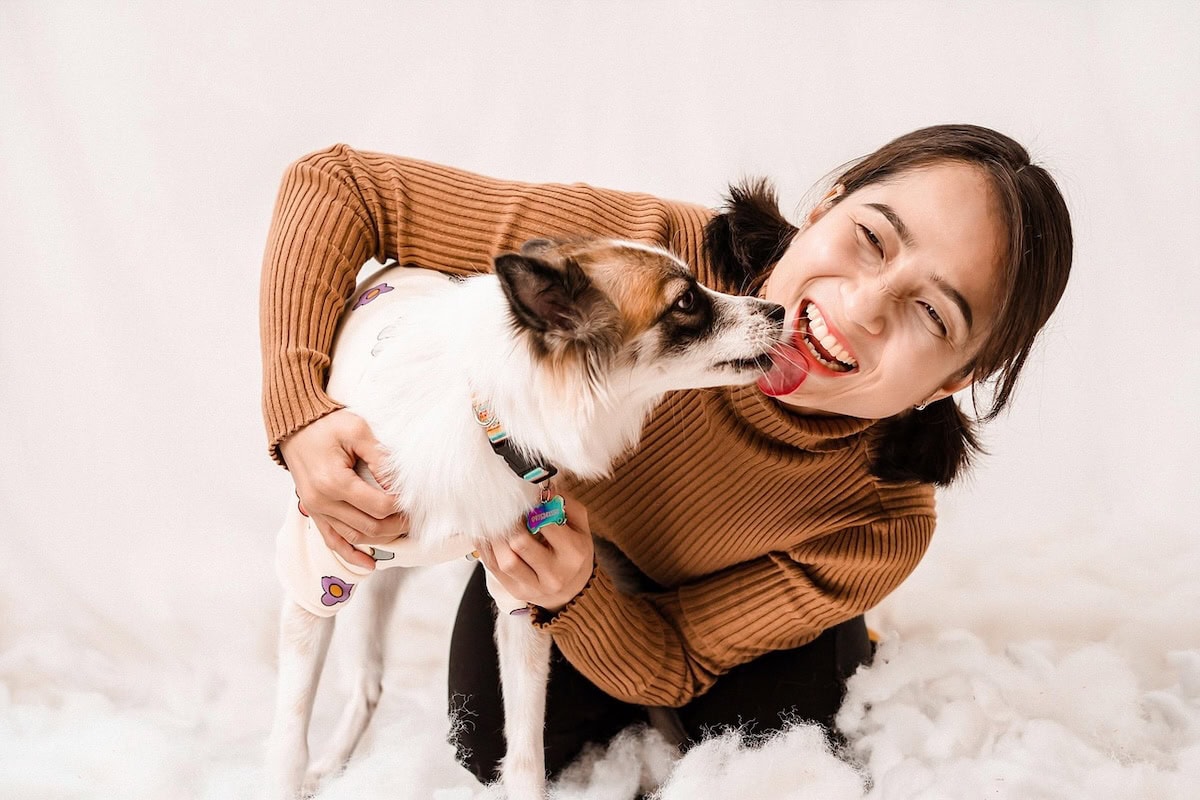 Best Family Dog Breeds Every Family Should Consider Bringing Home as the Perfect Pet 13 Daily Mom, Magazine for Families Best Family Dog Breeds Every Family Should Consider Bringing Home As The Perfect Pet 13 Daily Mom, Magazine For Families