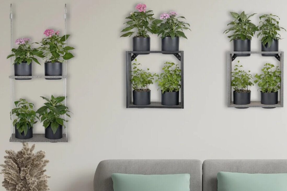 Daily-Mom-Parent-Portal-Vioscapes