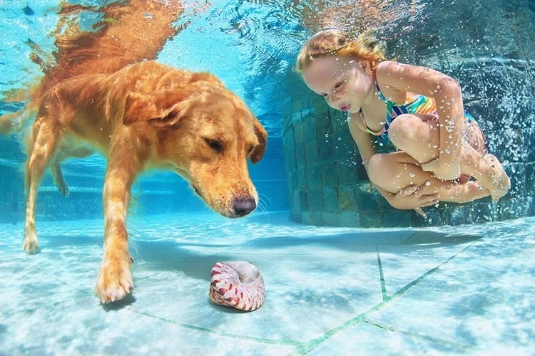 Fun Ideas For Summer