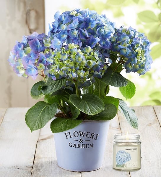 Granny Gifts For Mother'S Day: The Best Gifts For Grandma That She Will Appreciate 24 Daily Mom, Magazine For Families
