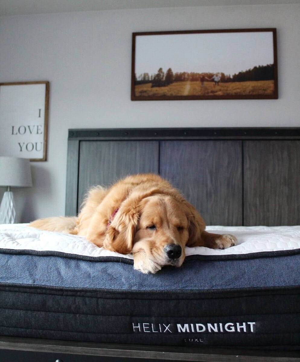 Cozy Gifts for Homebodies: The Best Gift Idea For The Homebody in Your Life 3 Daily Mom, Magazine for Families Cozy Gifts For Homebodies: The Best Gift Idea For The Homebody In Your Life 3 Daily Mom, Magazine For Families