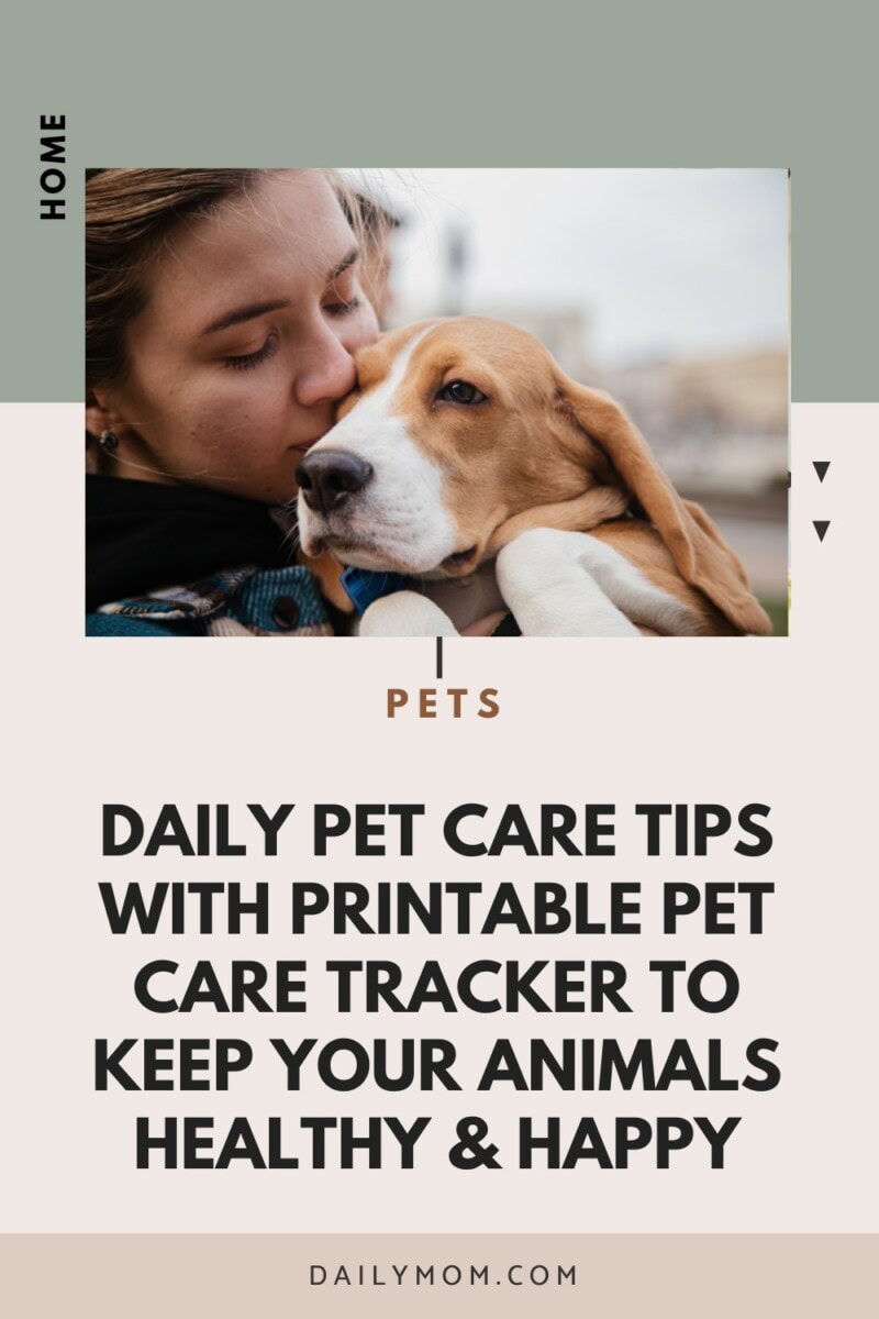 Daily Pet Care Tips You Need To Take Care Of Dogs: Printable Guide For Pet Parents To Keep Your Animals Healthy And Happy  3 Daily Mom, Magazine For Families