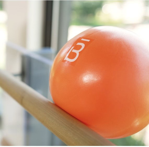 Daily-Mom-Parent-Portal-Barre3