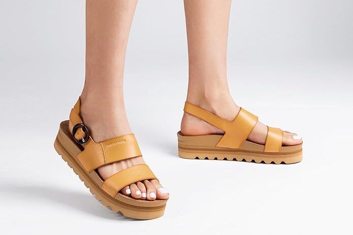 Daily-Mom-Parent-Portal-Dream-Pairs