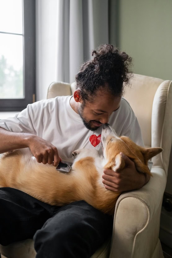 Caring Of Pets