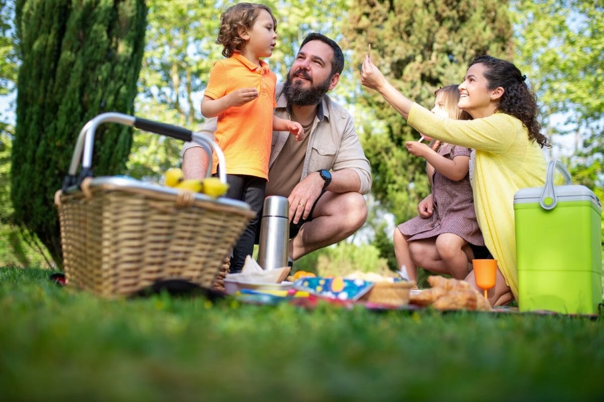5 Fun &Amp; Easy Children'S Picnic Ideas For Kids: The Ultimate Guide To Kid-Friendly Picnic Food Ideas &Amp; Kid-Approved Games 1 Daily Mom, Magazine For Families