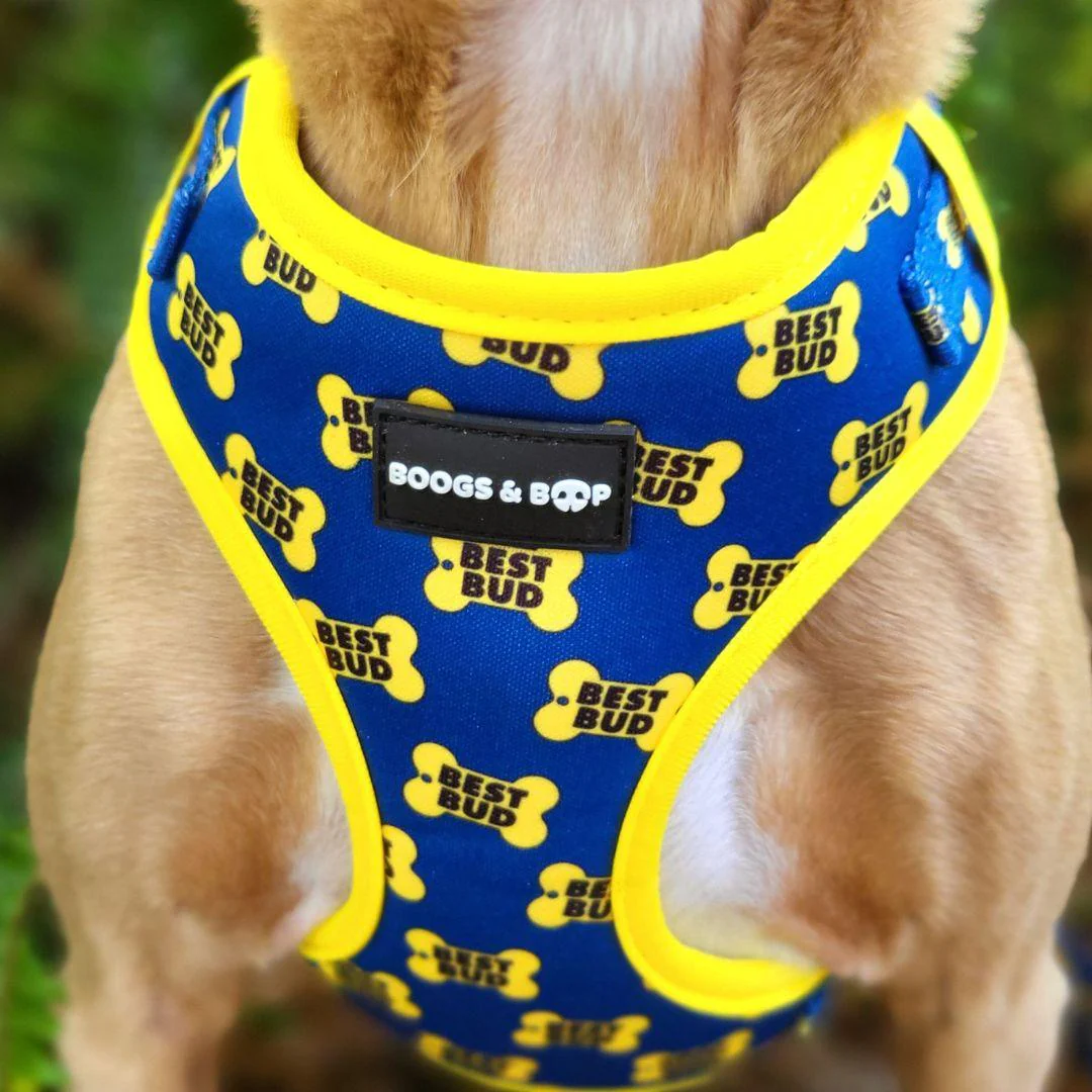 Popular Pet Supplies: The Best Dog And Cat Accessories And Products Trending In Pet Care 26 Daily Mom, Magazine For Families