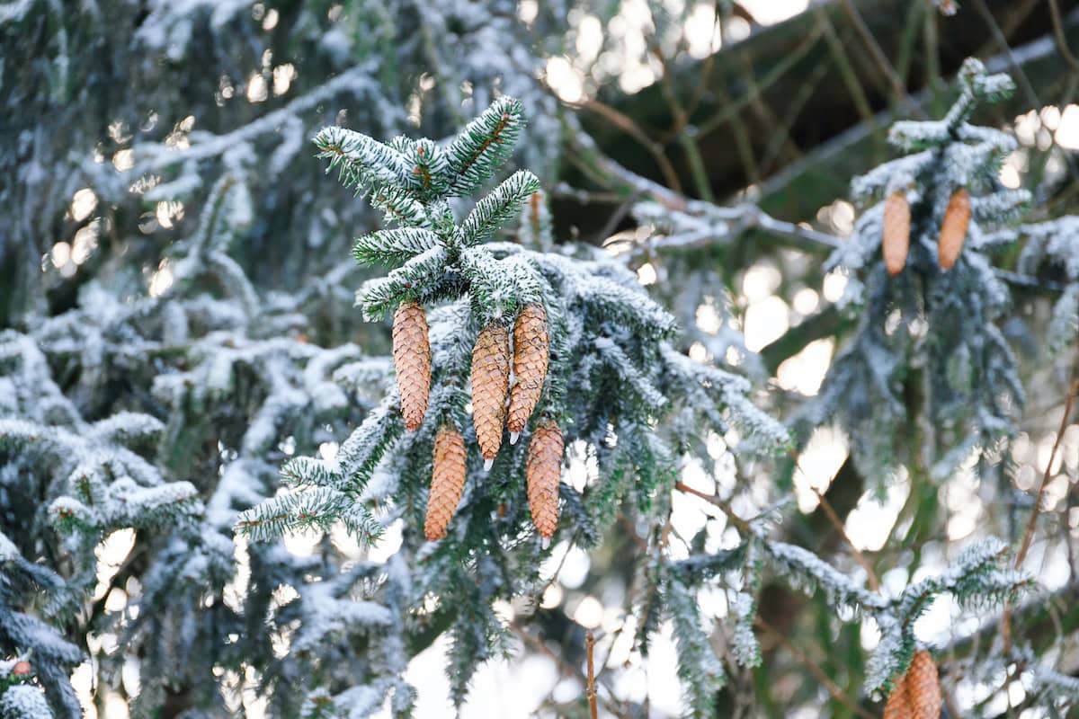 Creative Snow Day Activities for Kids: Fun Winter Activities the Whole Family Will Enjoy 22 Daily Mom, Magazine for Families Creative Snow Day Activities For Kids: Fun Winter Activities The Whole Family Will Enjoy 22 Daily Mom, Magazine For Families