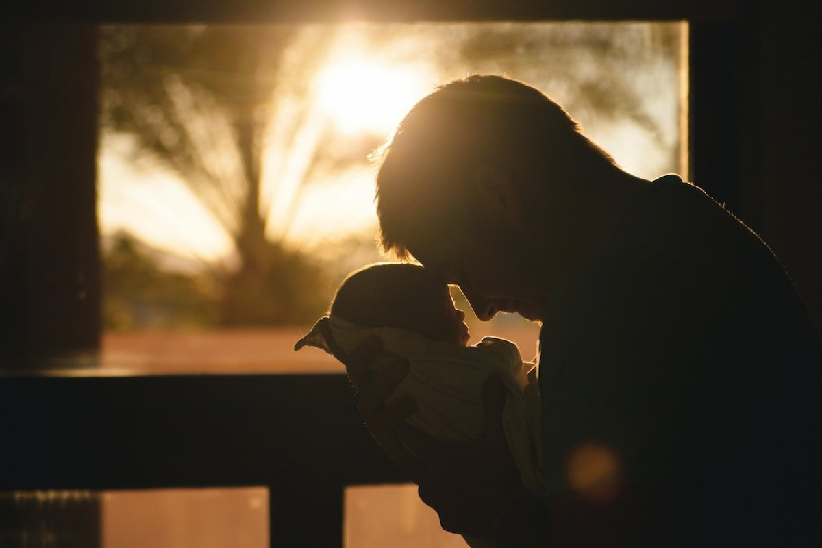 Daily Mom Parent Portal Roles Of Fatherhood