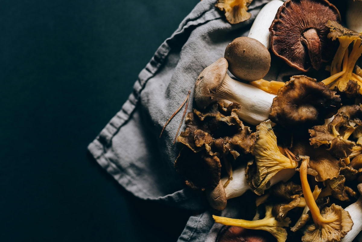 Wellness on a Plate: Cooking with Functional Mushrooms That Moms (and Their Immune Systems) Will Love 13 Daily Mom, Magazine for Families Wellness On A Plate: Cooking With Functional Mushrooms That Moms (And Their Immune Systems) Will Love 12 Daily Mom, Magazine For Families