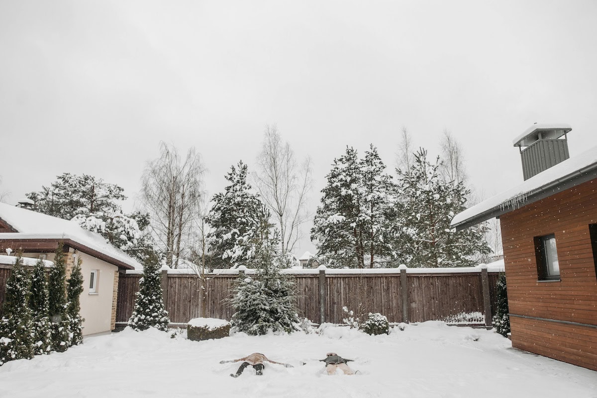 Creative Snow Day Activities for Kids: Fun Winter Activities the Whole Family Will Enjoy 10 Daily Mom, Magazine for Families Creative Snow Day Activities For Kids: Fun Winter Activities The Whole Family Will Enjoy 10 Daily Mom, Magazine For Families